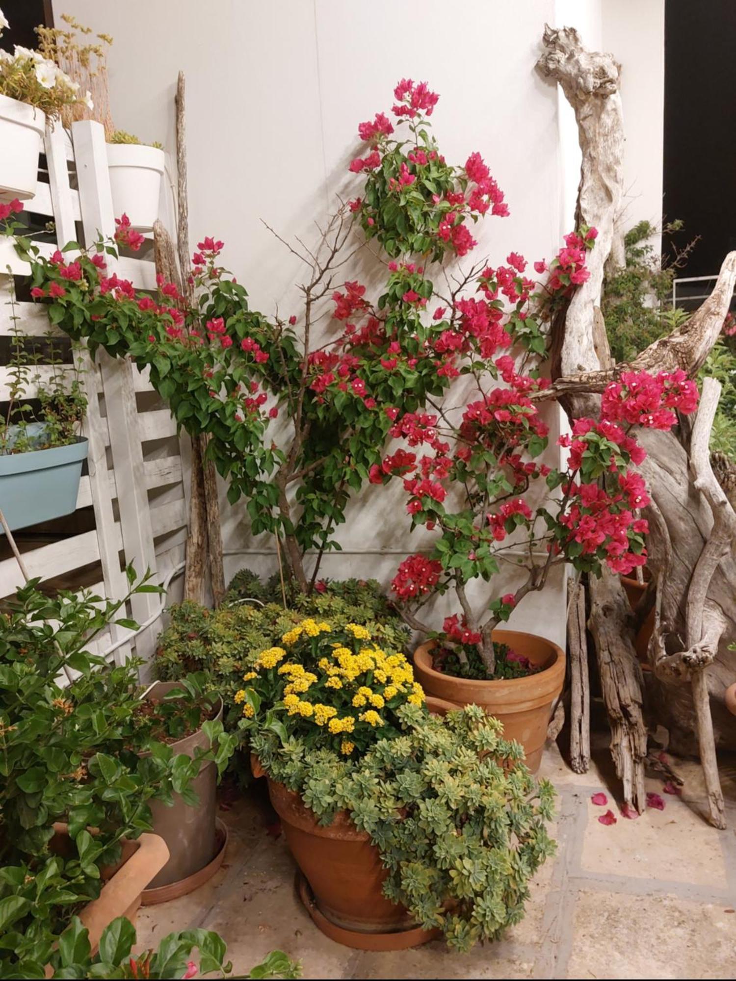 Bed and Breakfast MandorleOlio Polignano a Mare Exterior foto